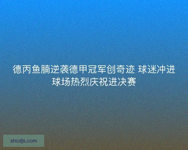 德丙鱼腩逆袭德甲冠军创奇迹 球迷冲进球场热烈庆祝进决赛
