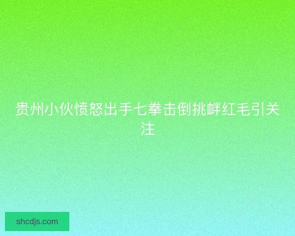 贵州小伙愤怒出手七拳击倒挑衅红毛引关注