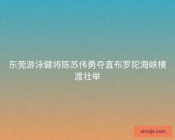 东莞游泳健将陈苏伟勇夺直布罗陀海峡横渡壮举 东莞游泳健将陈苏伟勇夺直布罗陀海峡横渡壮举